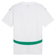 Maillot Officiel Sénégal - Home Kit 2025 - Thumbnail 2